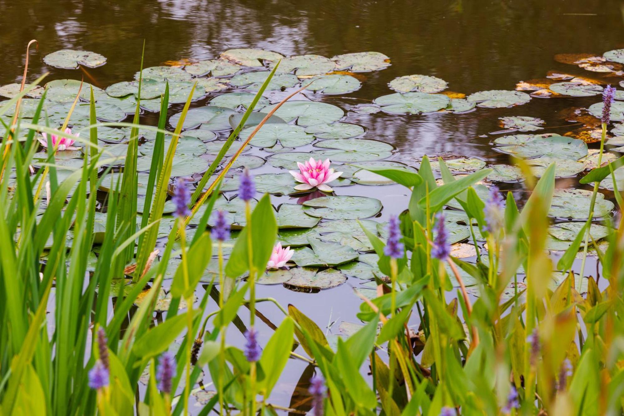 De Wilde Tuin - Tuinkamer Moergestel Экстерьер фото